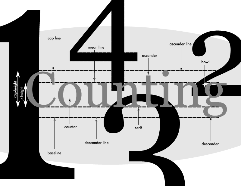 Count: Typographic Illustration
